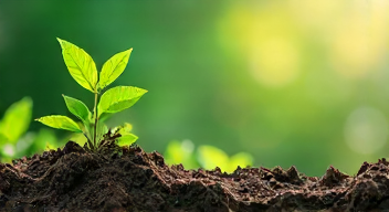 Psyche und Verhalten im Kontext von Klimaschutz (6/10)