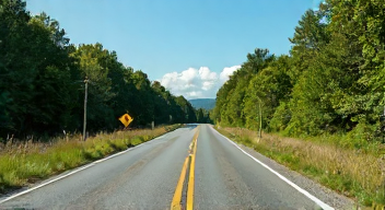 Das sind die Top 7 Schritte beim Umgang mit Wildunfällen