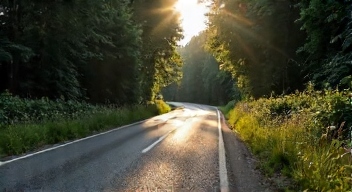 Die 6 häufigsten Fehler bei Wildunfällen