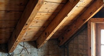 Einblicke in die Realität der Marderschäden